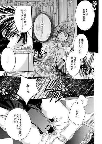 鬼畜兄弟の悶絶調教～私はいいなり奴隷～