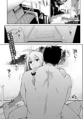 しぐれ調教記