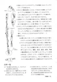 [Imazaki Itsuki] Wizard Force 2