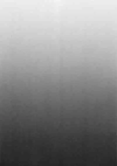 Nin gyo no uwasa no nin gyo