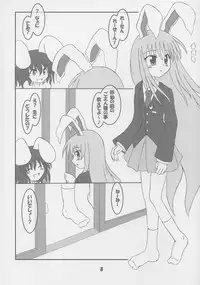 [Schwester (Shirau Inazaki)] Rollin 20 (Touhou Project)