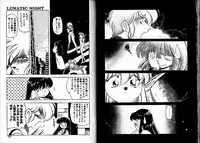[Mii Akira] Lunatic Night 3