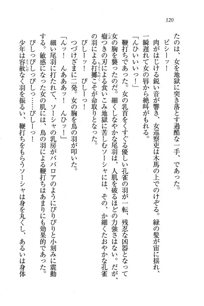 Circus～聖杯の魔法使い
