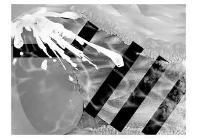 [Tsuchikuda Material]