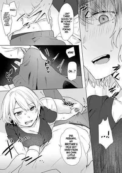 Onii-chan Yuuwaku Keikaku | My Plan to Get my Brother