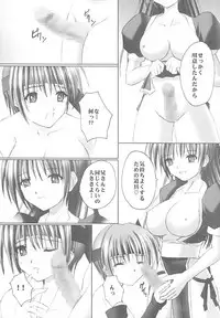 (CR29) [STEALTH VIPER (Chopin)] Fuuka (Dead or Alive, Guilty Gear)