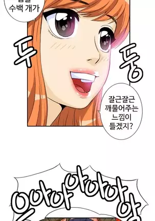 Chauffeur Service Ch.1-30.5