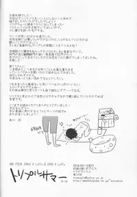 (C78) [Try Muscle (Arikawa Akira)] Triple Summer (One Piece)