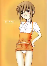 (C63) [Sasaduka (Riuichi)] Peaceful