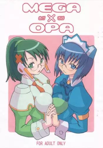 [Hagane Koubou (Haganema)] Hatsujou Yukaricchi FES (Persona 3)