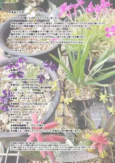 Lovely Flower Collection