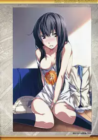 Dies irae Visual Fanbook - White Book