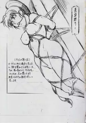 A&M DSIII ~Kimen no Mono~