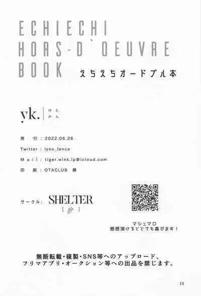 ECHI ECHI HORS－D’OEUVRE BOOK