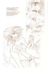 (C69) [Hen Rei Kai (Kawarajima Koh)] AmiHota!! Side:D (Sailor Moon)