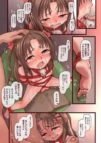 Hina-chan Choukyou Nikki