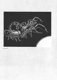 [Suehiro Maruo] MARUOGRAPH EX I