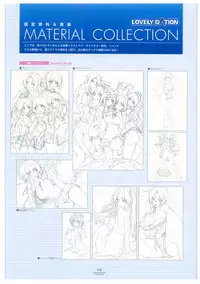 LOVELY CATION 1&2 VISUAL FAN BOOK