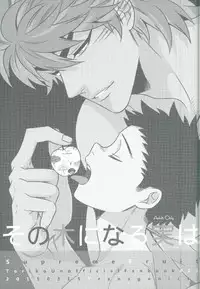 (HaruCC20) [Transgenics. (Chamame)] Sono Ki ni naru Jitsuwa (Toriko)