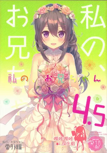 (C92) [TIES (Takei Ooki)] Watashi no, Onii-chan 4.5 Bangaihen [Chinese] [???????]