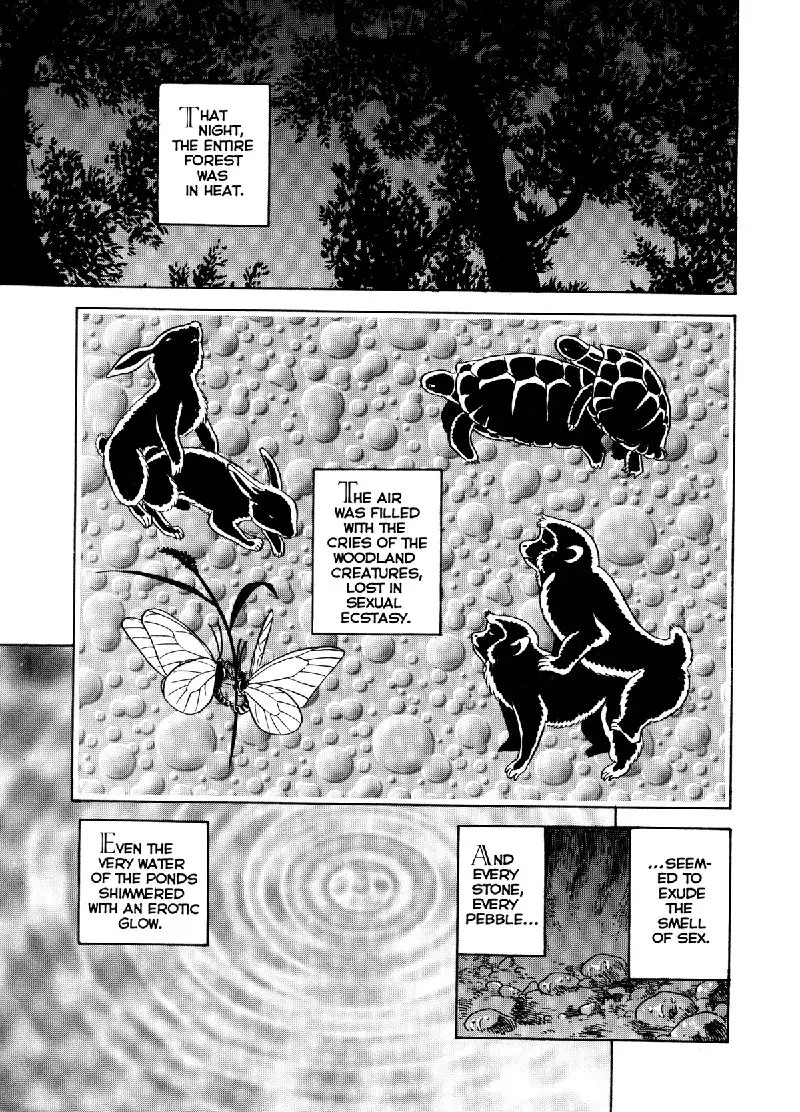 New Bondage Fairies vol2 - CH4