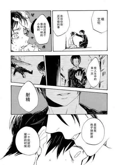 Shonen Knife | 少年的刀