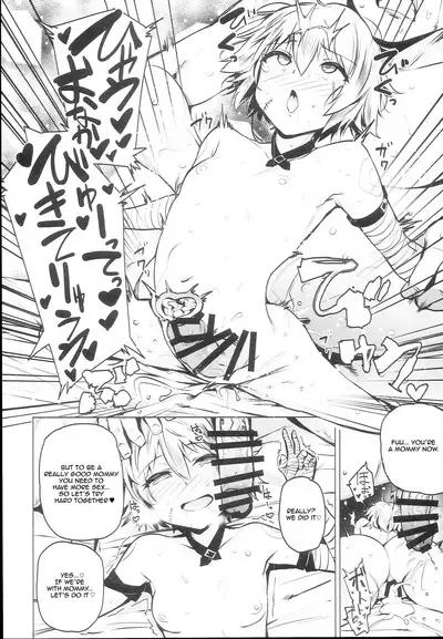 Chaldea Supporter