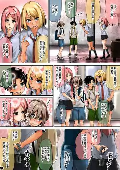 Joshi Kōsei ga Danshi o Sei Dorei Toshite Kau