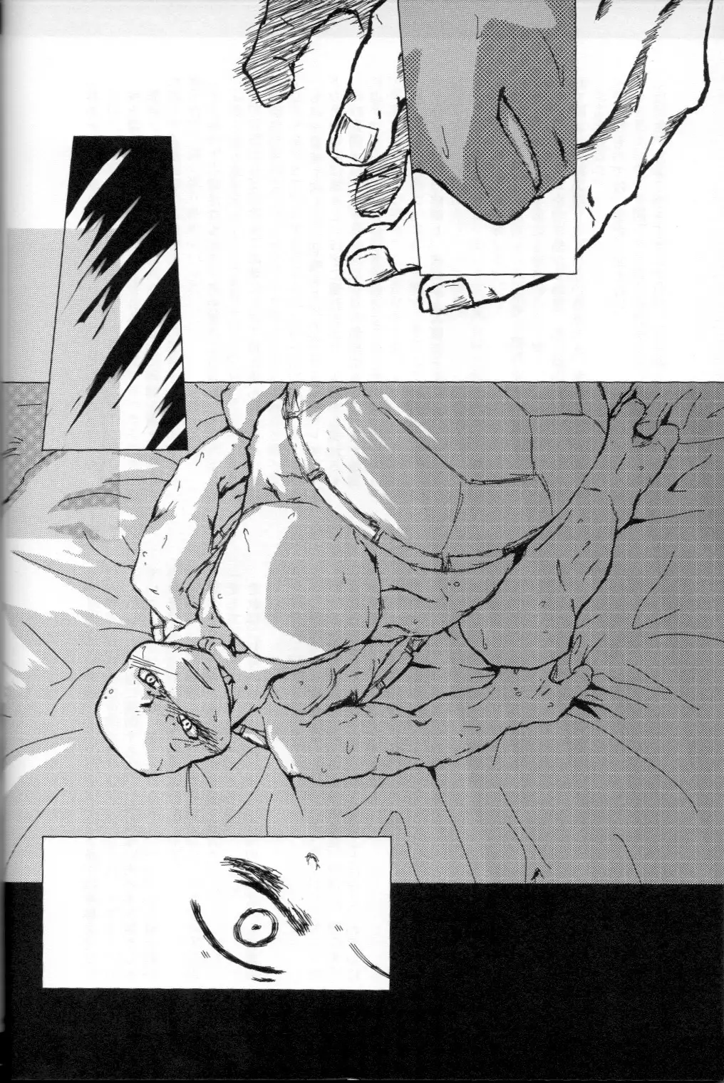 FALLEN - Raph vs Leo - Teenage Mutant Ninja Turtles, TMNT doujinshi