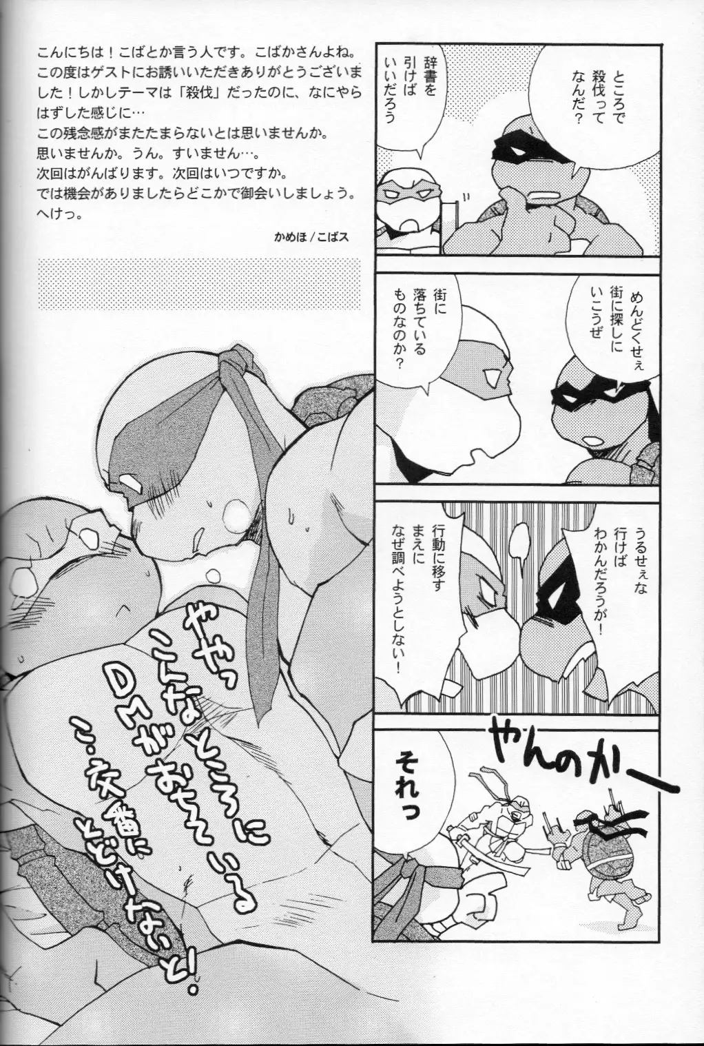 FALLEN - Raph vs Leo - Teenage Mutant Ninja Turtles, TMNT doujinshi