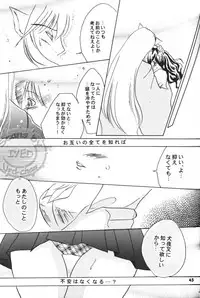 Sugar