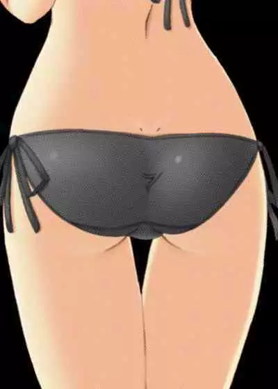 Suki Suki Hayate-san 2