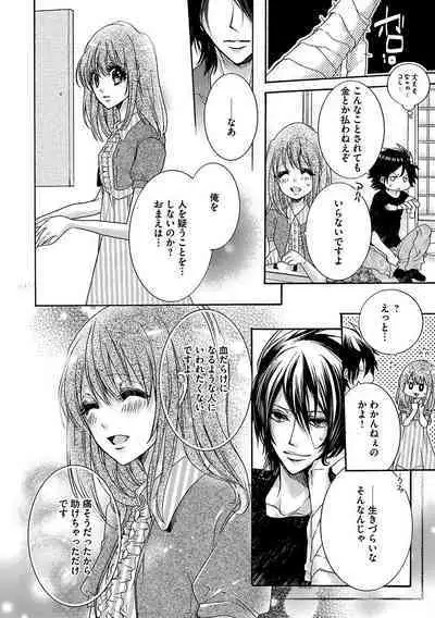 鬼畜兄弟の悶絶調教～私はいいなり奴隷～