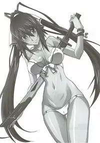 (Tora Matsuri 2015) [STUDIO TRIUMPH (Mutou Keiji)] Astral Bout SP02 (IS <Infinite Stratos>)