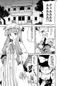 (Reitaisai 8) [PARANOIA CAT (Fujiwara Shunicihi)] Touhou Ukiyo Emaki Sairokushuu (Touhou Project)