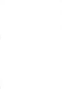 (C77) [NIKKA (Mario Kaneda)] Princess code 04 (Seiken Densetsu 3)