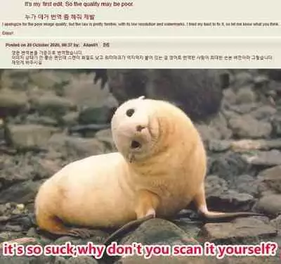 Kyouka-chan ga Micro Bikini o Kite Kureru Hon