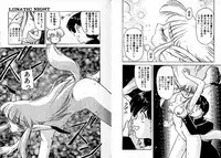 [Mii Akira] Lunatic Night 3