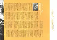 [Nishieda] Dendrobium (Decensored)