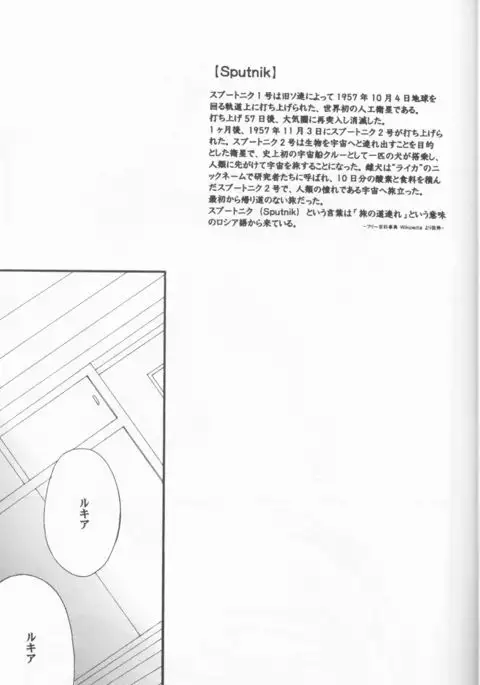 Sputnik Introduction
