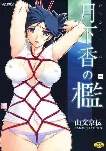 [イマジン孝二] ノエル・シルヴァ (ブラッククローバー』)