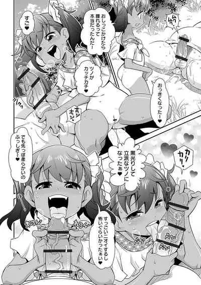 COMIC Orga Vol. 15