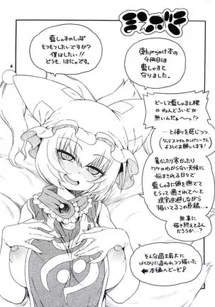 Touhou Meiko ~Yakumo Aihen~