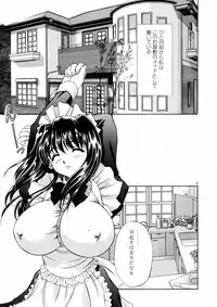 (C60) [Narimasuya (Akiba Wataru)] DOLLS DIARY 4