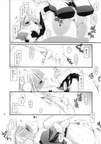 (SC30) [Digital Lover (Nakajima Yuka)] ROUGH SKETCH 27 (Ragnarok Online)