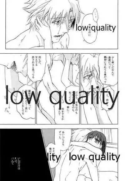 a day after the fair