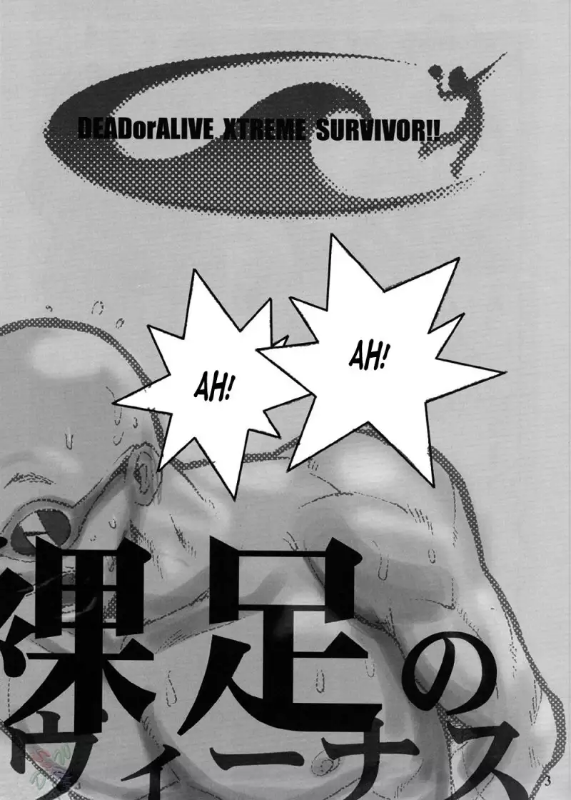 Dead or Alive X Survivor