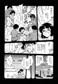 Flamingo R Vol.04