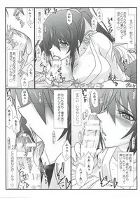 (Tora Matsuri 2015) [STUDIO TRIUMPH (Mutou Keiji)] Astral Bout SP02 (IS <Infinite Stratos>)