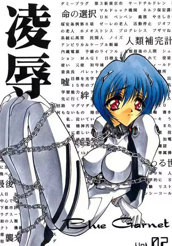 (C84) [BLUE GARNET (Serizawa Katsumi)] Wünder de Issho (Neon Genesis Evangelion)